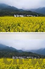 麻豆视频传媒app下-平等交流中的网络内容影响探讨，以麻豆视频传媒APP为核心的公共视野